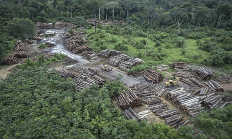 An illegally deforested area in Brazil’s Amazon basin. 