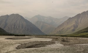 Arctic coastal plain