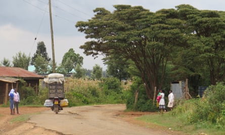 Croton tree on side of village road, Kenya