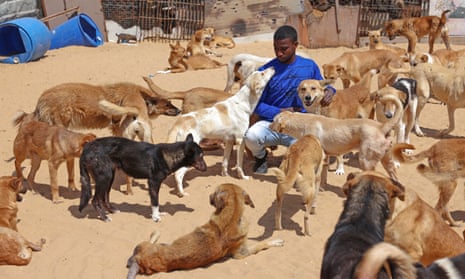 Mubarak, 20, plays with dogs at the Sulala Animal Rescue centre in in Gaza City