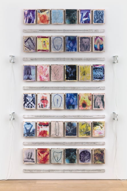 Carolee Schneemann Vulva’s Morphia, 1995.