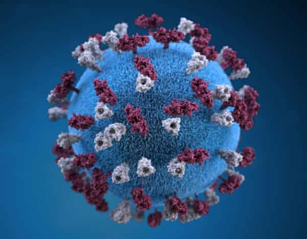 A 3D graphical representation of the measles virus particle.
