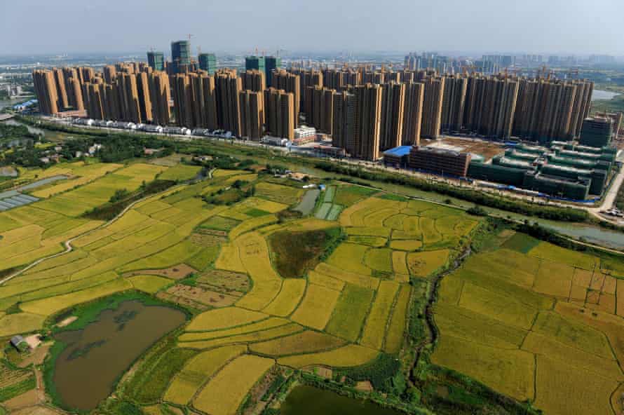 Urban v rural: an aerial view of the fish farms in the countryside next to Hefei, in central China’s Anhui province.