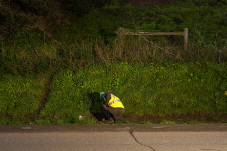 A woman wearing a yellow safety vest places a newt in a grassy area on the side of the road