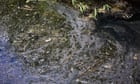 Environment Agency knew sewage was being dumped into rivers years ago, leak reveals