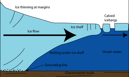 Ice bergs are calved off the edges of ice shelves.