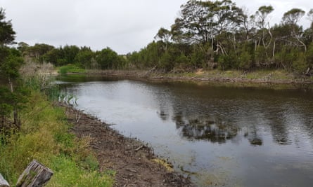 Warrigal Creek in Gippsland, Victoria