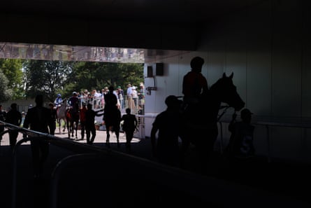 Horses are led out in a corridor