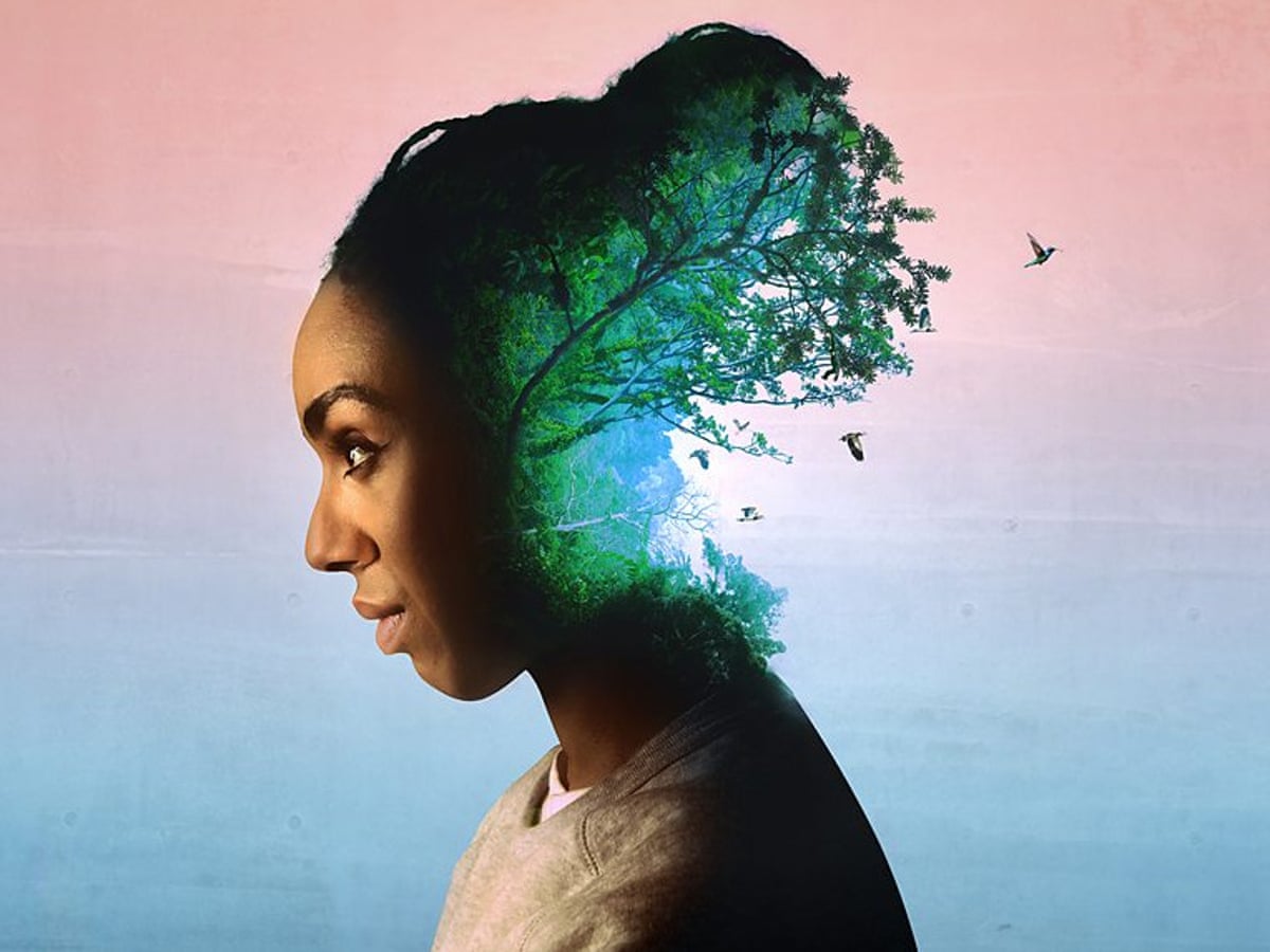 The Week In Radio Forest 404 The Reunion Archive On 4 Review Radio The Guardian