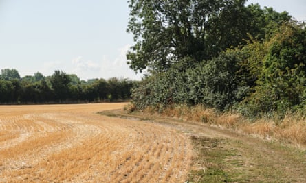 ploughed field and hedgerows