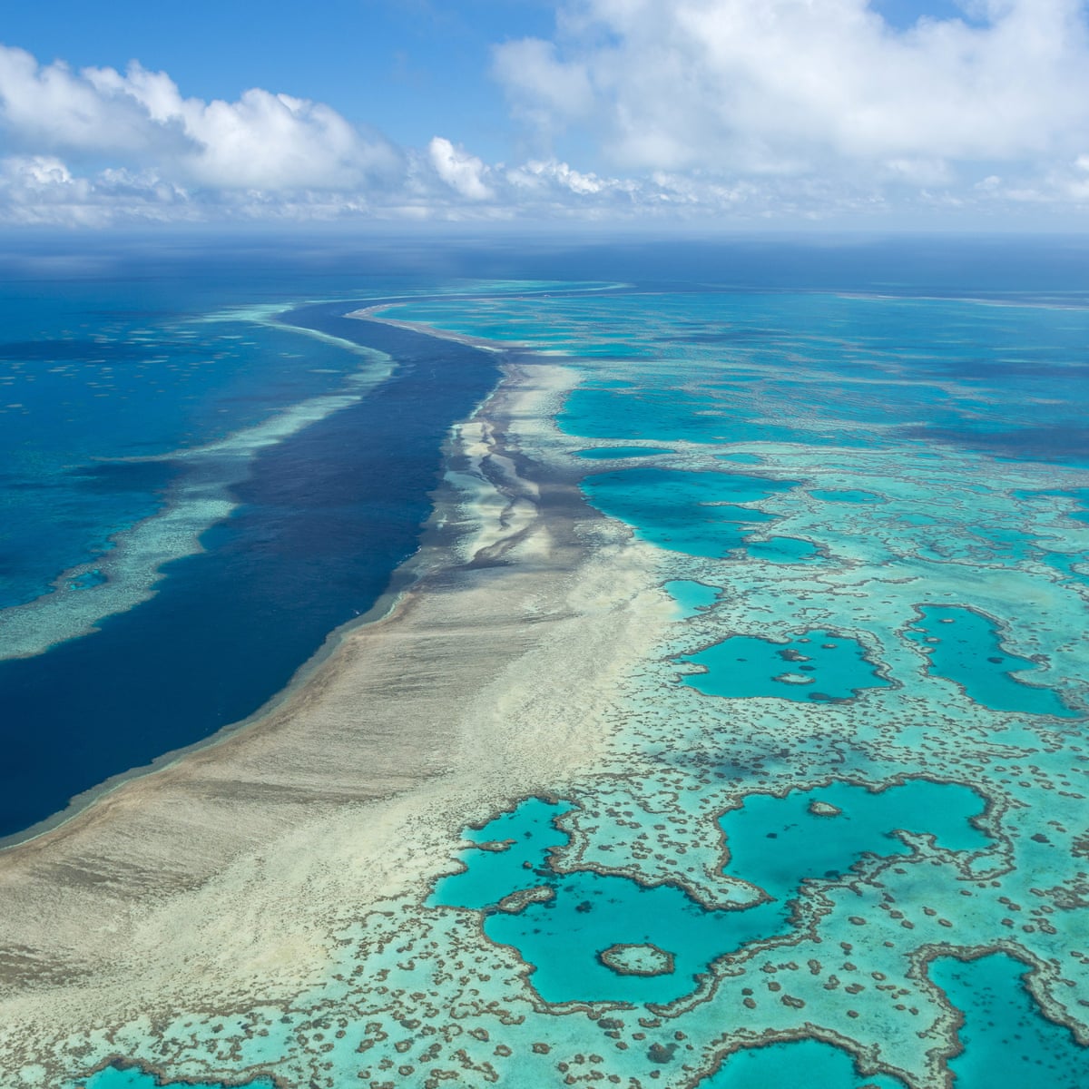 The Great Barrier Reef Is A Victim Of Climate Change But It Could Be Part Of The Solution Peter Thomson And Ove Hoegh Guldberg The Guardian The Great Barrier Reef Is A Victim Of Climate Change But It Could Be Part Of The Solution Peter Thomson And Ove Hoegh Guldberg The Guardian
