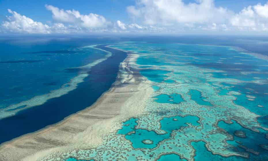 Colorful Places in the World: Great Barrier Reef, Coral Sea, Queensland, Australia.