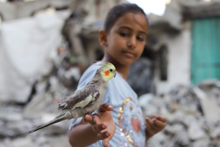 A bird sits on a child’s hand in war-torn Gaza