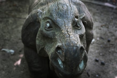 A wooden coryphodon, an extinct semi-aquatic mammal whose remains have been found at Lenses Abbey Woods.