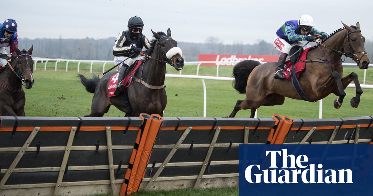 Thyme Hill speeds home at Newbury to stake claim for staying hurdlers crown