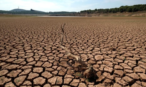 The remains of a dead tree in the almost-empty Maria Cristina reservoir during a severe drought near Castellon, Spain, in 2018.