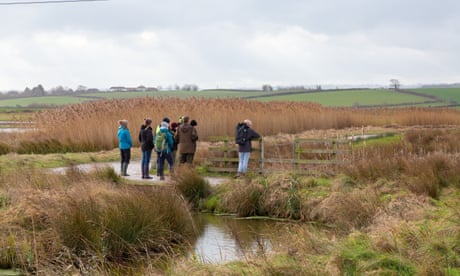 Μια ομάδα επισκεπτών με έναν εθελοντή στο Steart Marshes.  Steart Working Wetlands, CIEEM.
