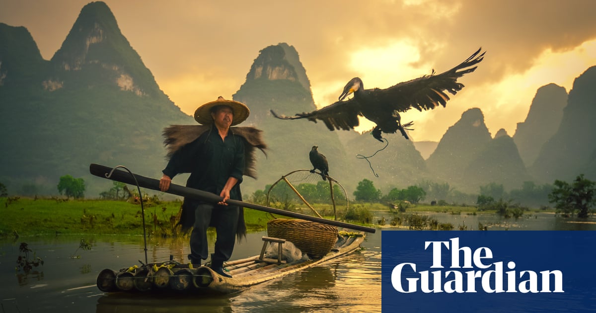 Dying Art Of Chinese Cormorant Fishing In Pictures World News The Guardian
