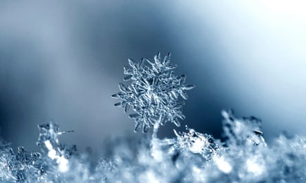 ‘Fractals – naturally occurring patterns that are repeated at different scales within a structure, such as a snowflake – have been found to elicit soft fascination.’