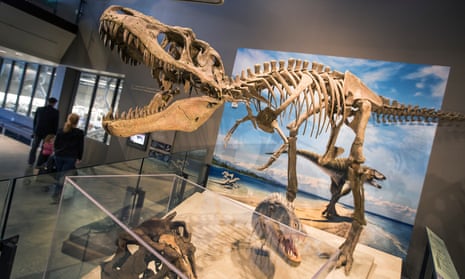 A tyrannosaur skeleton on display at the Natural History Museum of Utah in 2017.