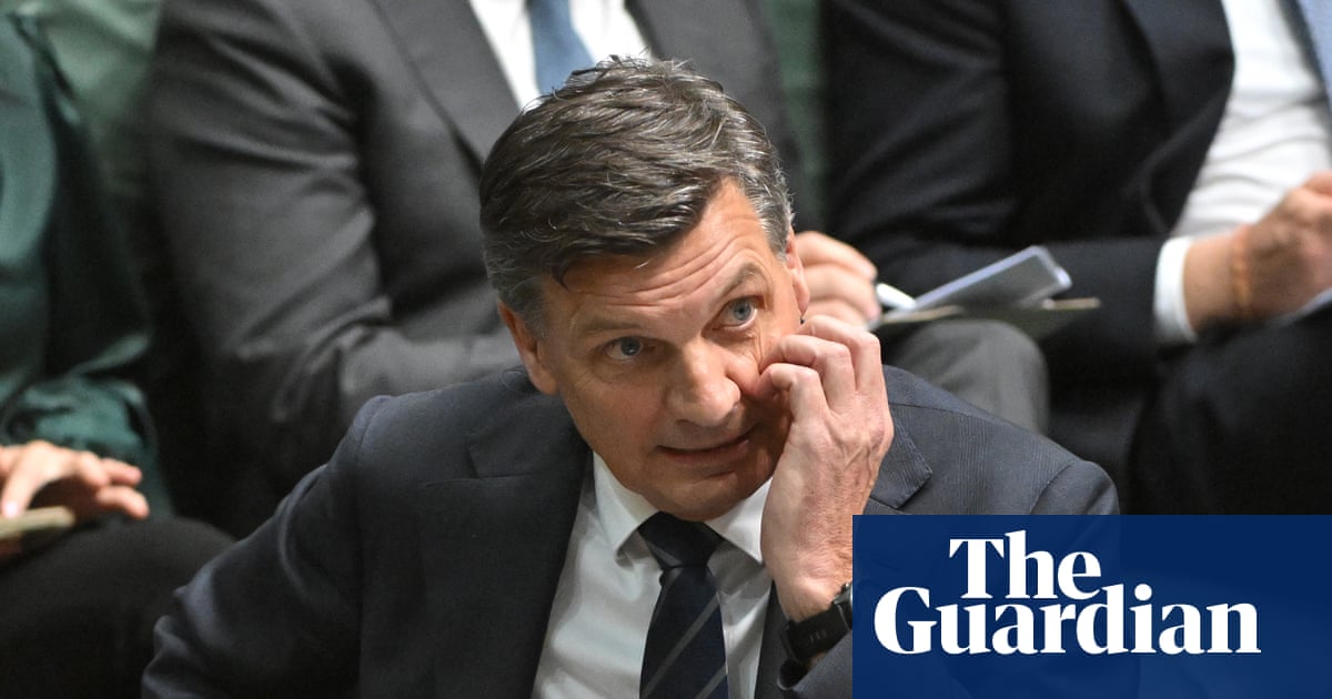 Taylor won’t say if he supports multiculturalism as Chalmers says he’s trying to ‘out-One Nation One Nation’