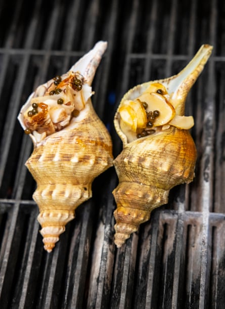 Tulip snails are cooked on a grill.