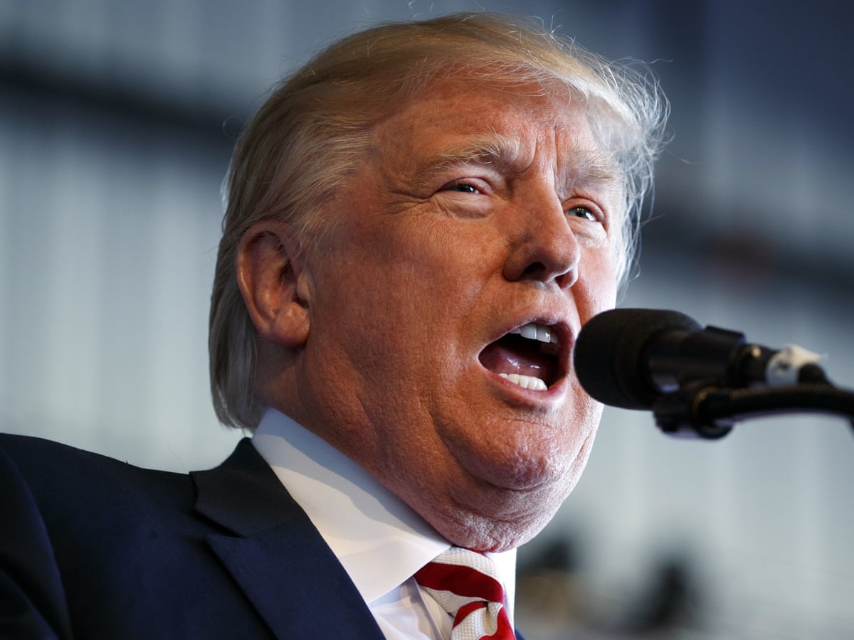 Donald Trump on Congress term limits: 'I will drain Washington swamp' – video | Donald Trump | The Guardian