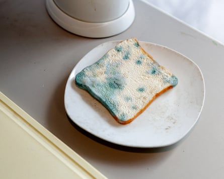 Anarchist Designers.