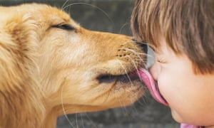 Dog licking a boy’s face