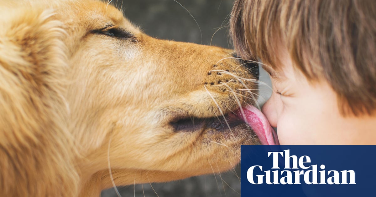 Should I let my dog lick my face? | Health & wellbeing | The Guardian