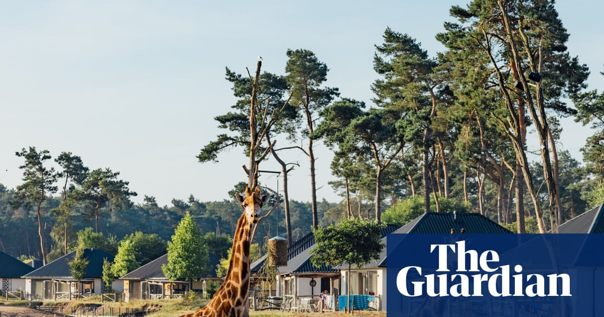 We're on safari in the Netherlands