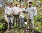 Florida sheds 20 tons of invasive pythons in effort to curb its population