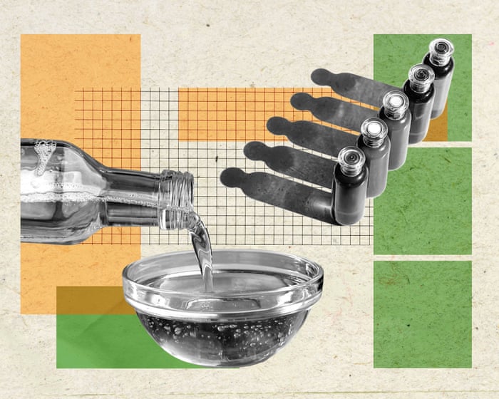 Are seed oils unhealthy? Why are so many influencers speaking out against them? | Gideon Meyerowitz-Katz