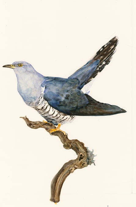 Painting of cuckoo