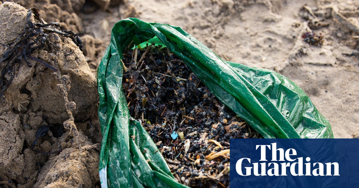 Southern Water apologises for catastrophic spill of plastic biobeads in Sussex
