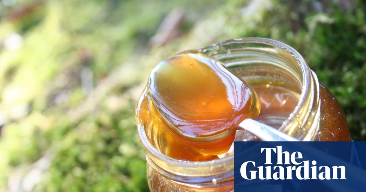 US beekeepers sue over imports of Asian fake honey