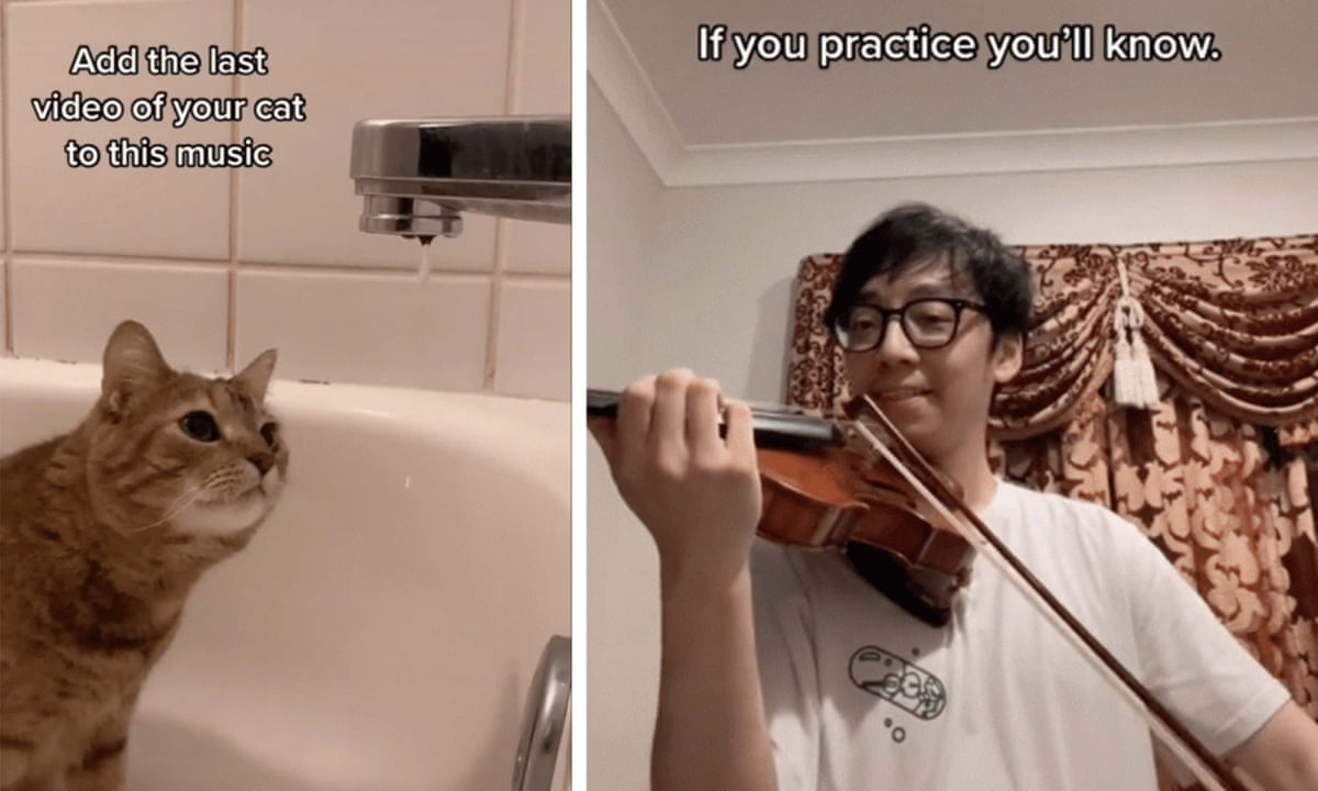 Would Schubert have liked cat videos and Squid Game memes? TikTok's  classical music sensations | Classical music | The Guardian