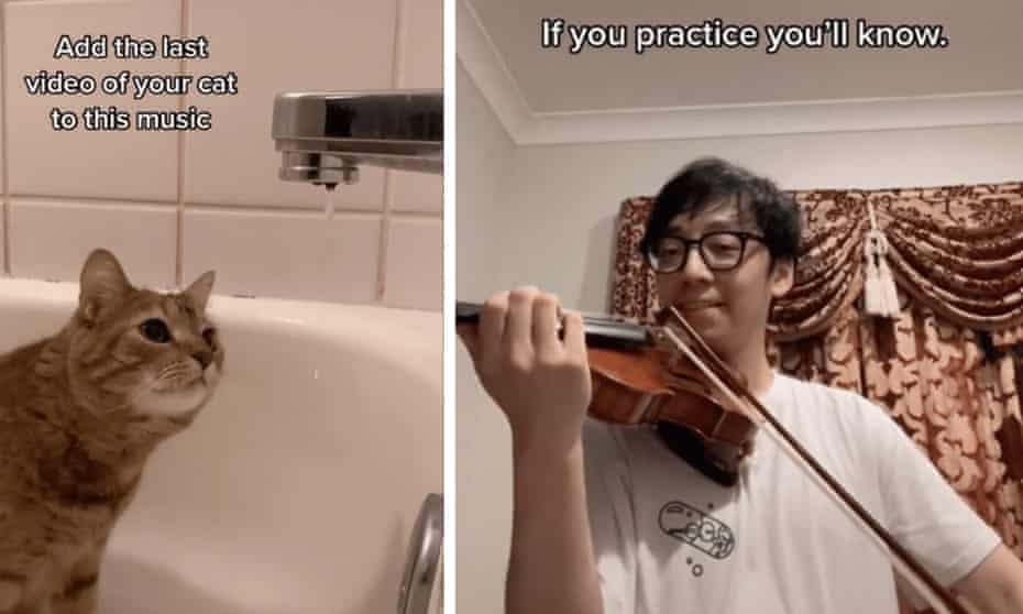 Pet sounds … Jamie Barton’s cat and one half of @twosetviolin, who gave up steady jobs in Australian orchestras to make a living as a niche comedy duo.