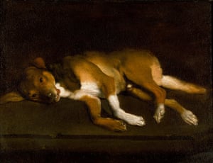 Dog lying on a ledge, 1650-80, by an anonymous artist.