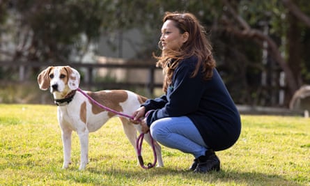 Nadia Peiris, animal care manager at RSPCA Victoria with Bella a female beagle/harrier cross