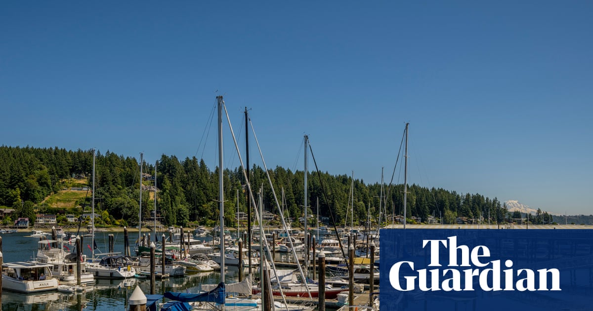 Man stabs four people to death in Washington state