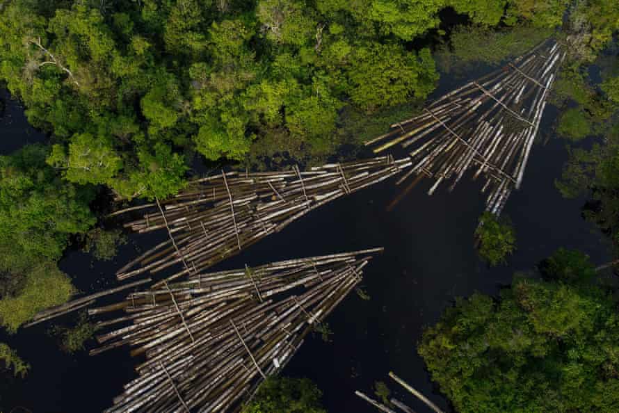 Illegal logging - such as this shipment seized by Amazon Military Police in Brazil last year- is a critical threat to forests.