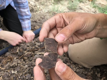 a person holding fragments of leaves