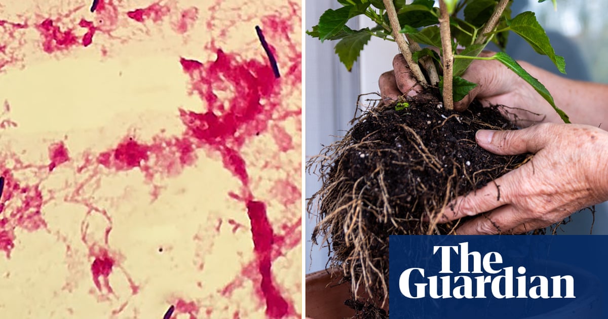 Australian gardener becomes first person to survive deadly flesh-eating bacteria