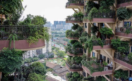A profusion of plants cover balconies in a residential block in Chengdu, Sichuan province.