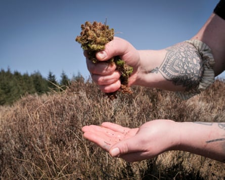 Rowan Hickman’s hand squeezing peat