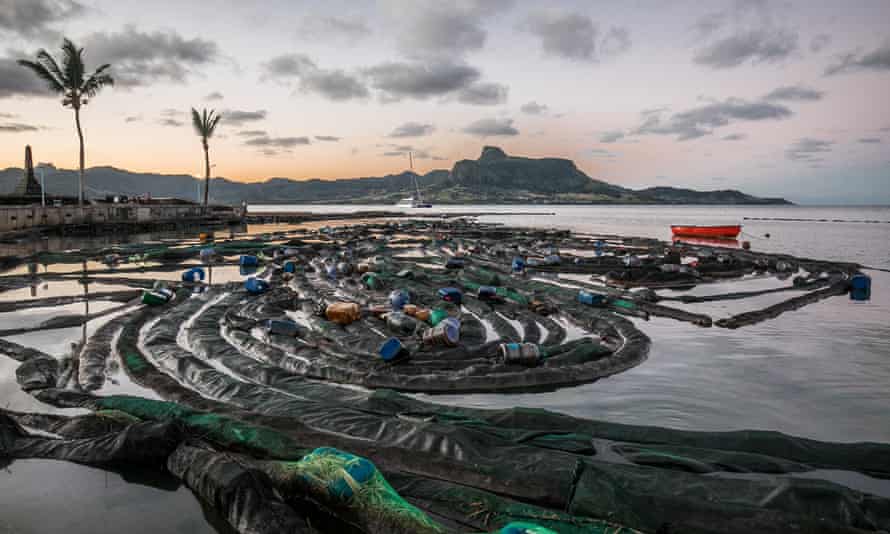 Mauritius'un güneydoğu kıyılarında petrol yıkamasını önlemek için topluluk yapımı yüzer saman ve kumaş bariyerleri.