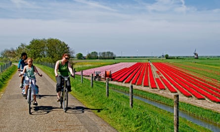 netherlands north holland dutch tulips bulbfields flowers  bike people