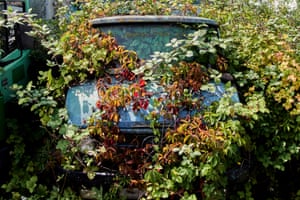 A Mercedes Unimog van covered in plant growth