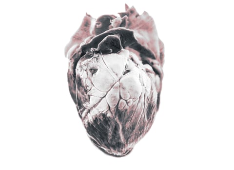 Dismissed - Hearts Align 